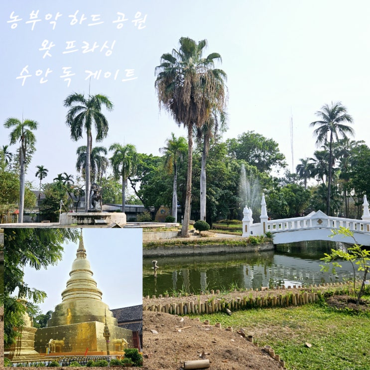  [치앙마이여행] 농부악하드공원Nong Buak Haad Public Park수안 독 게이트(Suan Dok Gate)왓 프라싱 우라마하한Wat Phra Singh