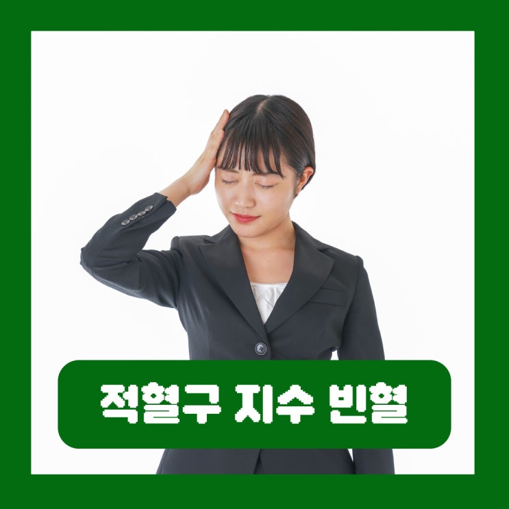  적혈구 지수 MCH MCV MCHC 정상수치 빈혈 원인 검사