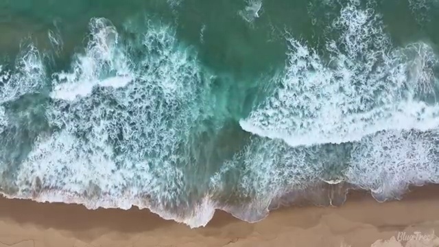  수산물품질관리사 자격증 , 취득 정보
