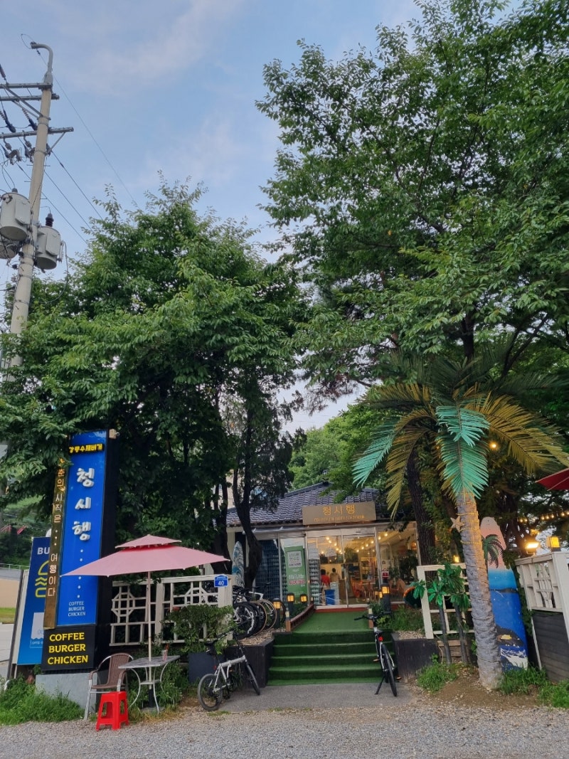 사진 5
