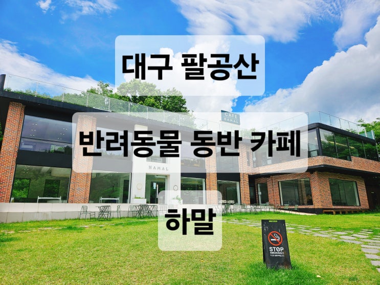  대구 팔공산 반려동물 입장 가능 대형 카페 '하말'