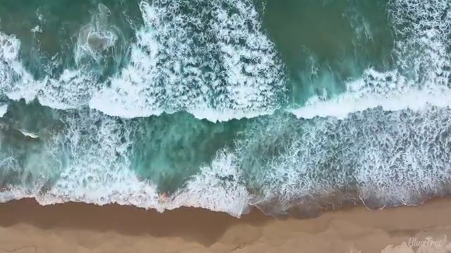  수산물 품질관리사 자격증 , 학습방법
