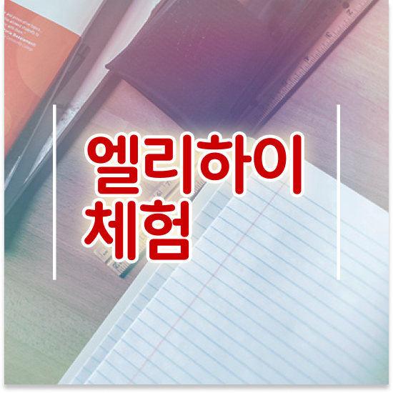  12세 초등영어 교재 엘리하이로