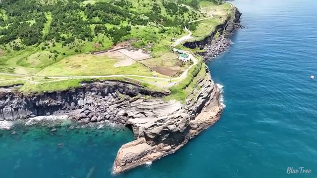  수산물 품질관리사 자격증 , 활용방법