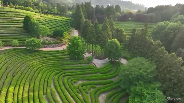  수산물품질관리원 자격증 , 초단기 준비했던 꿀팁 모음