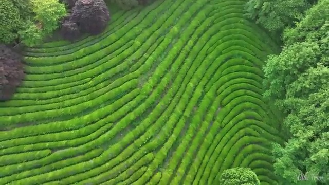  수산물품질관리원 ,