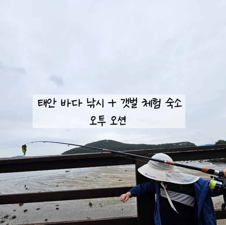  태안 갯벌 체험 펜션 오투오션 / 바로 앞 바다에서 낚시 바지락 갯벌체험하기