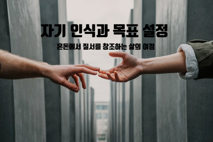  자기 인식과 목표 설정, 혼돈에서 질서를 창조하는 삶의 여정