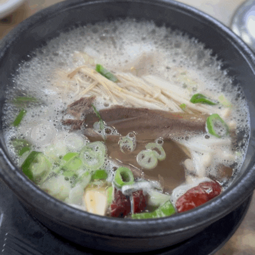  경북 고령 1박2일 출연 인삼 도토리수제비 맛있는 곳 [대원식당]