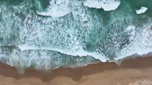 수산물품질관리원 자격증 , 쉽게 완료한 후기