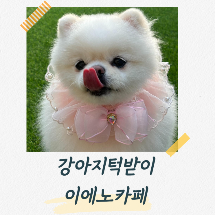  강아지케이프 추천 이에노카페의 데이지꽃 자수 강아지스카프