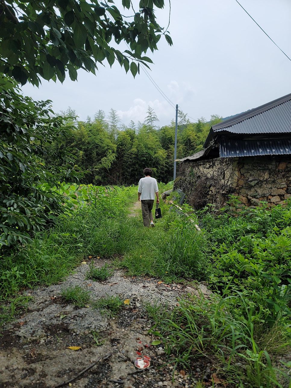 다강산방 사진 3