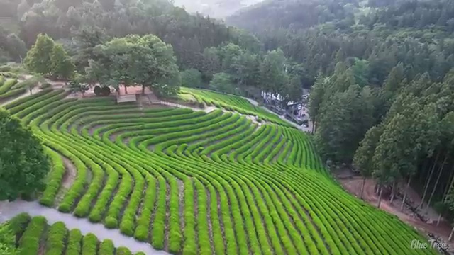  수산물품질관리사 자격증 , 손쉽게 완료한 팁