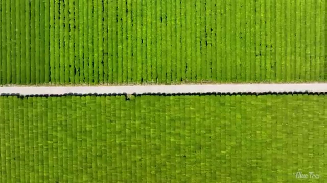  수산물 품질관리사 자격증 , 취득 정보