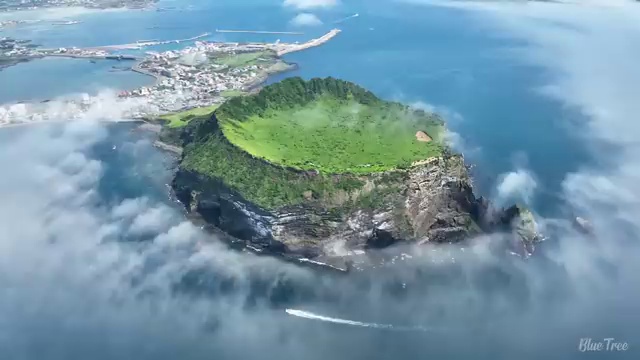  수산물품질관리원 자격증 , 교육기관