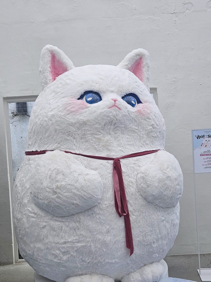  요즘 내가 빠진 것들 7월 일상 포토덤프