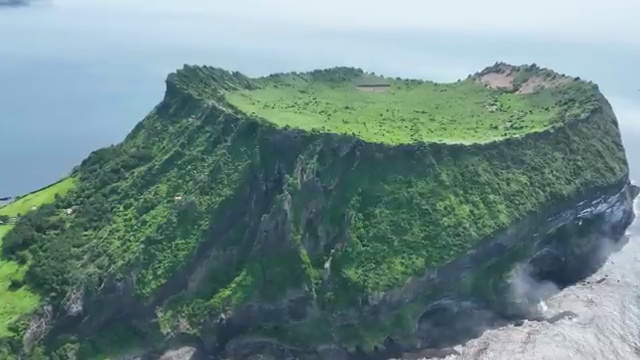  수산물품질관리사 자격증 , 취득 정보