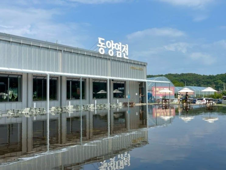  인천 영종도 을왕리 ‘동양염전베이커리카페’ 빵지순례 대형카페 추천