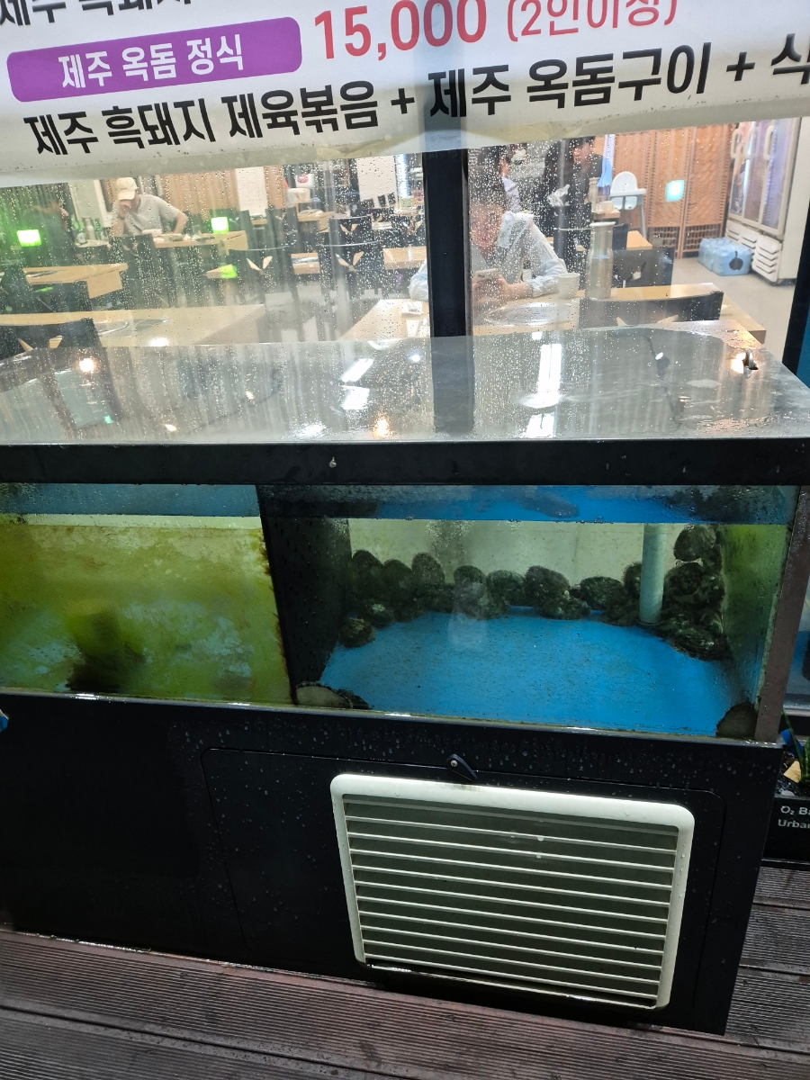 제주향 사진 5