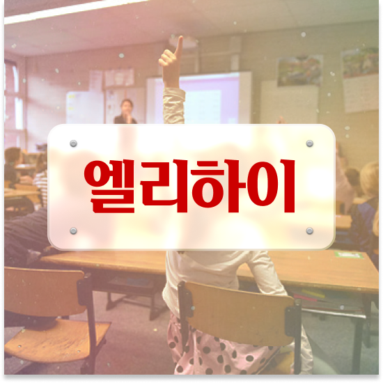  초등 6학년 엘리하이로