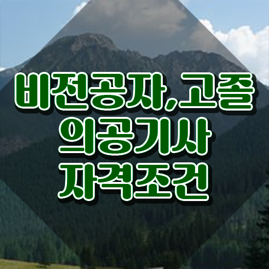  의공기사 전공 의공기사 취득자격 온라인 과정으로 쉽고 빠르게 끝낸 전략
