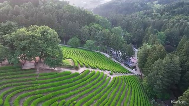  산림기사채용 산림기사 자격요건 학점은행제로 단기간에 끝낸 방법