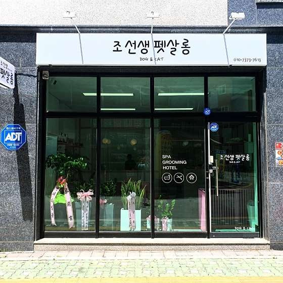 조선생펫살롱
