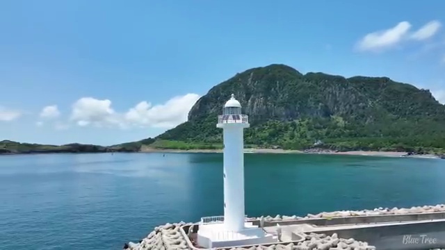  수산물 품질관리사 자격증 , 빠르게 준비했던 꿀팁 모음