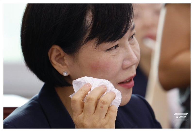 전현희 민주당 의원 얼굴 부상 프로필 고향 남편 교통사고 사별 김헌범