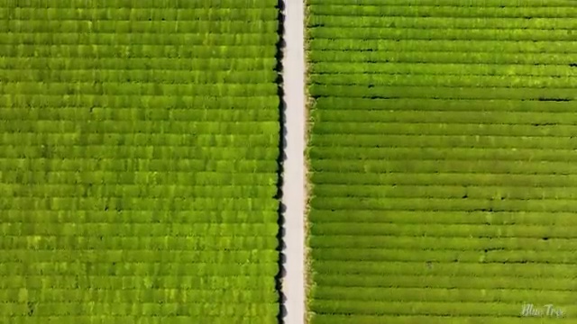  수산물품질관리원 자격증 , 활용방법