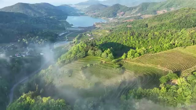  수산물 품질관리사 자격증 , 인기있는 이유