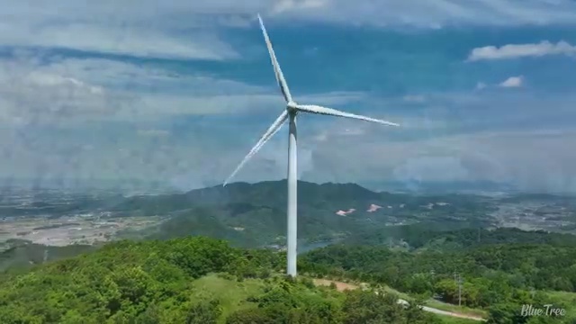  수산물 품질관리사 자격증 , 취득한 방법