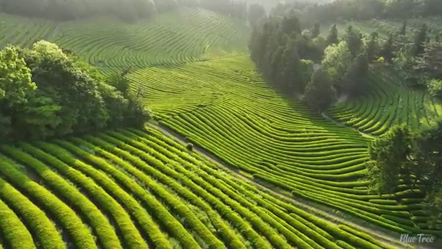  수산물품질관리사 자격증 , 취득한 방법
