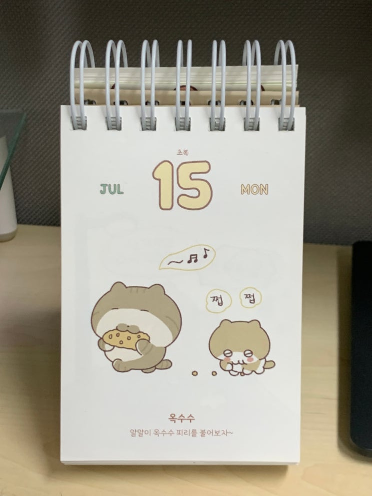  # 17. 정신차렷