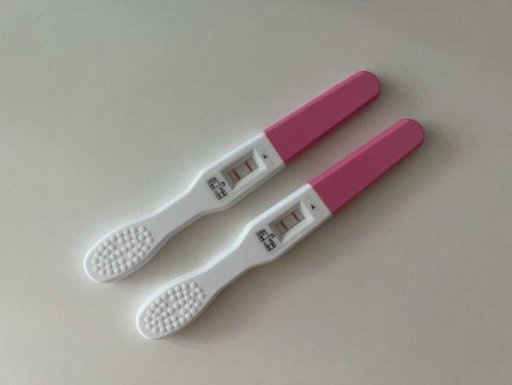 임밍아웃 / 난소나이 40대, 극난저로 난임병원 다니다가 자연임신했어요! (AMH수치 0.66)