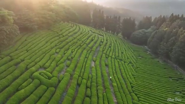  수산물 품질관리사 자격증 , 빠르게 따는 법