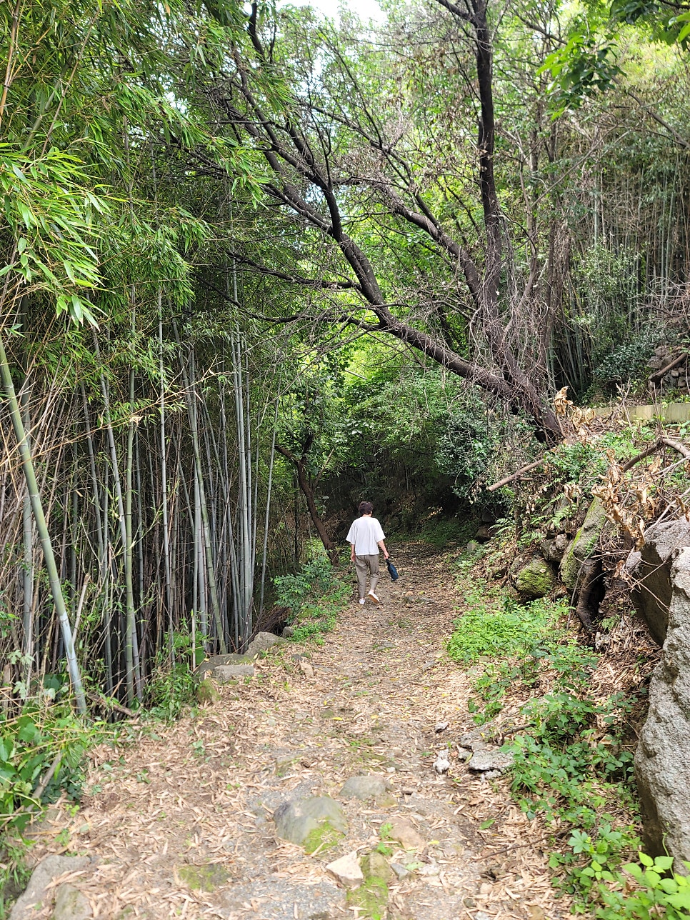 다강산방 사진 5