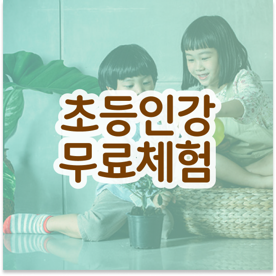  초등 6학년 엘리하이로