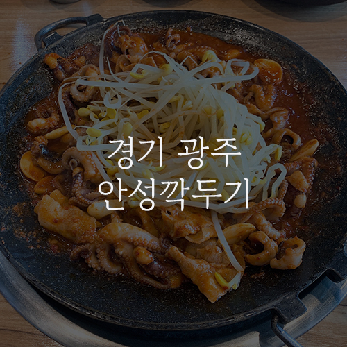  경기 광주 [안성깍두기] 맛있게 매운 철판 쭈꾸미 삼겹살과 깍두기 볶음밥! CGV 근처 맛집 추천