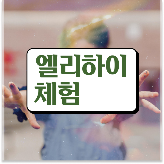  초등 6학년 초등수학 프린트 엘리하이로