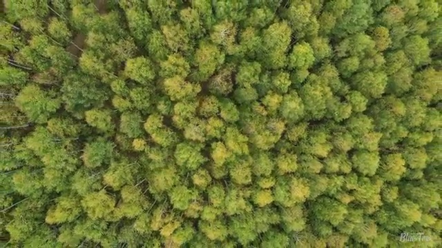  수산물품질관리사 자격증 , 학습방법