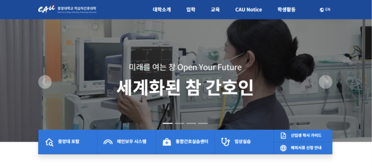  중앙대 간호학과 수시 합격 생기부, 융합형인재가 완성된 내용