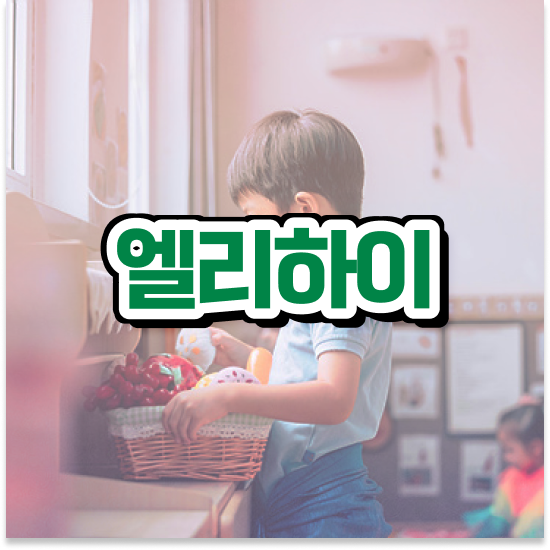  12세 예비 초등 학습지 엘리하이로 1:1관리 받아요.