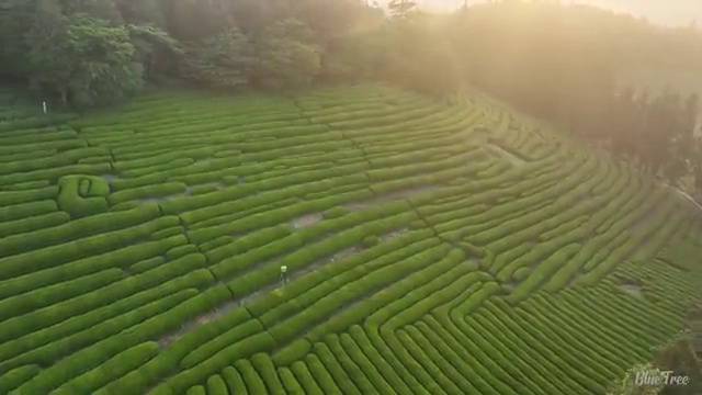  수산물품질관리원 자격증 , 취득했던 후기