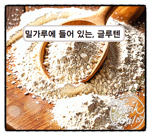  밀가루 소화 왜 안 될까 대체식품