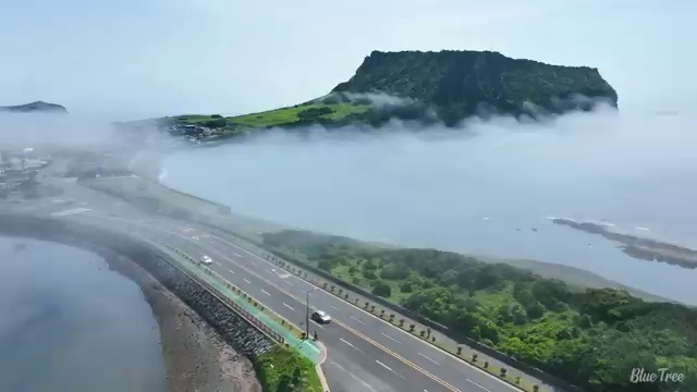  수산물 품질관리사 자격증 , 초단기 완료한 후기