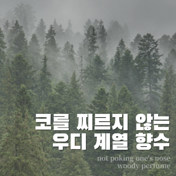  레이어링 하기 좋은 남자 우디 계열 커스텀 제작 크리드 퀸오브실크 바이레도 블랑쉬 발다프리크 향수