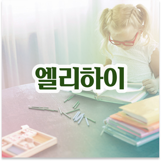  11세 엘리하이로 실제 후기