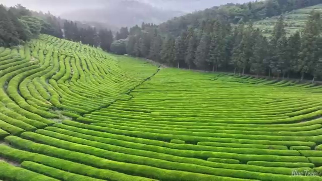  수산물품질관리사 ,