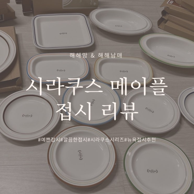  내돈내산 시라쿠스 메이플 깔끔한 접시 추천